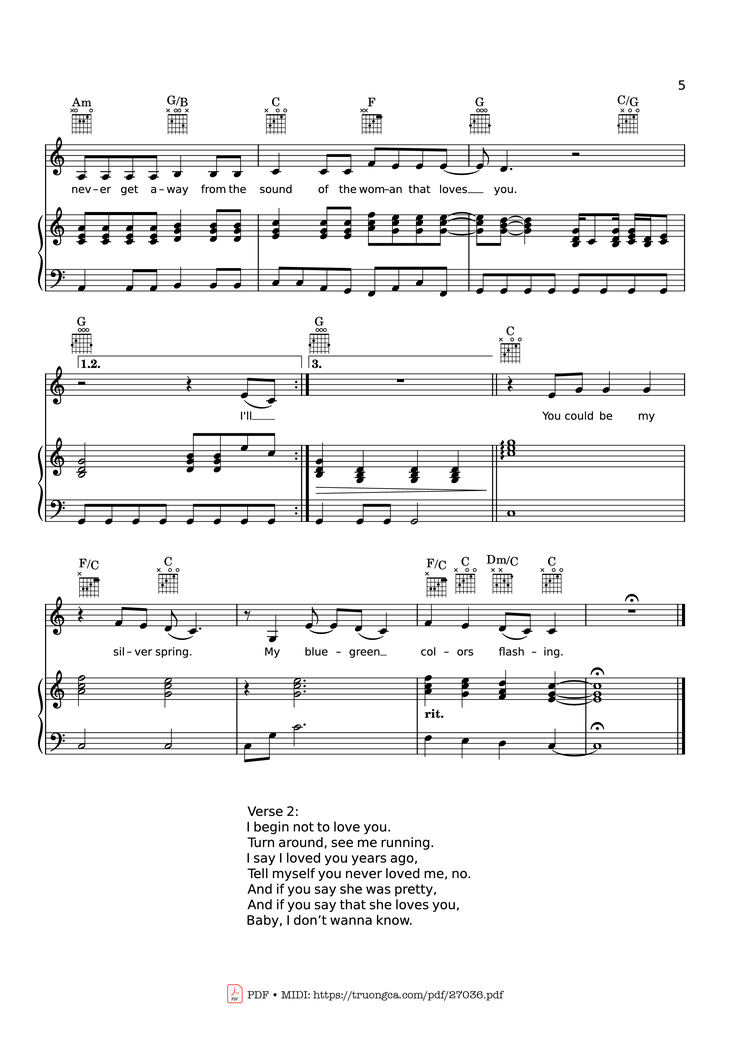 Page 5 of the piano sheet music PDF Piano - Silver Springs Piano & vocal by STEVIE NICKS