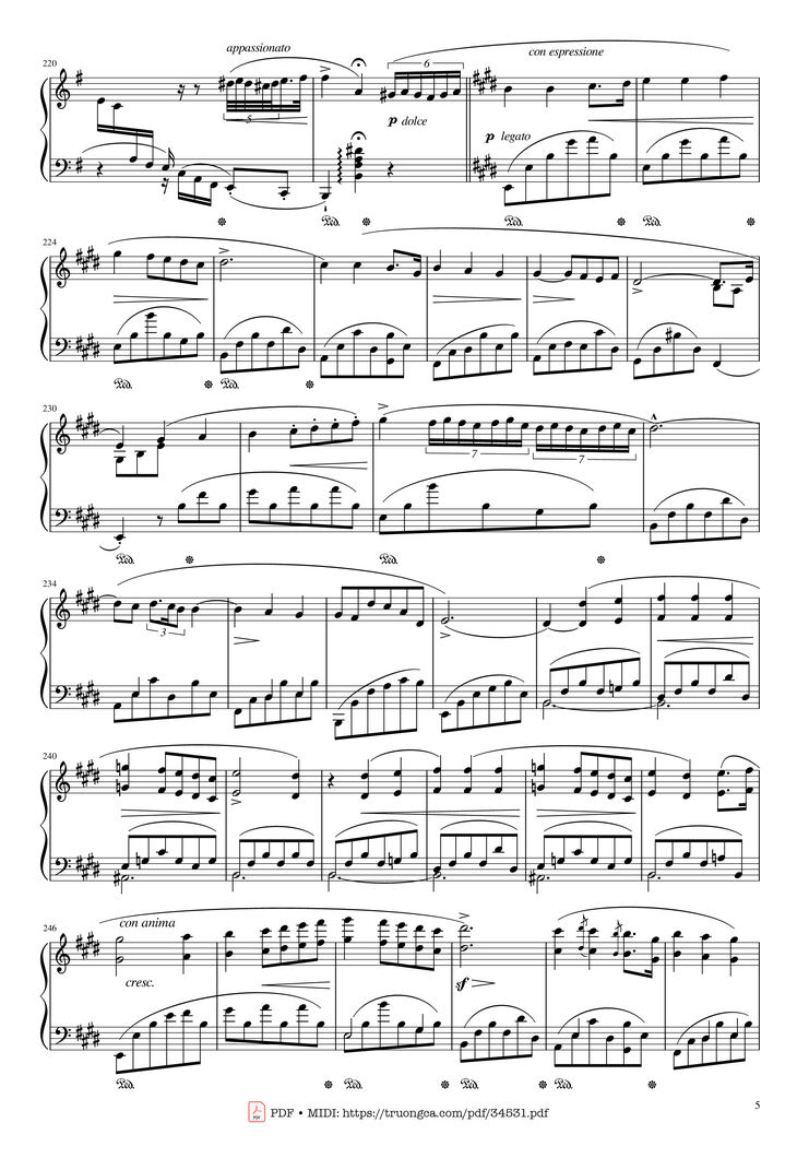 Page 5 of the piano sheet music PDF Piano - Chopin Concerto No.1, Op.11, Allegro Maestoso Piano by Frédéric Chopin
