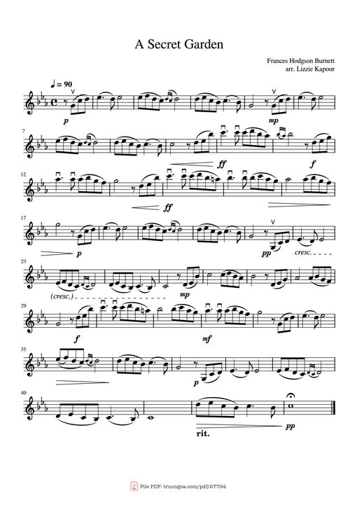 A Secret Garden Violin